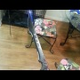 Watch a Shirtless Man Get Tased By the 'Taser Sword'